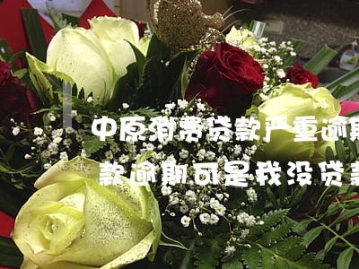 中原消费贷款严重逾期(中原消费金融说我贷款逾期,可是我没贷款)