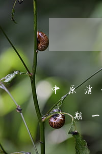 中原消费逾期一天要求全部还款-中原消费逾期一天要求全部还款合法吗