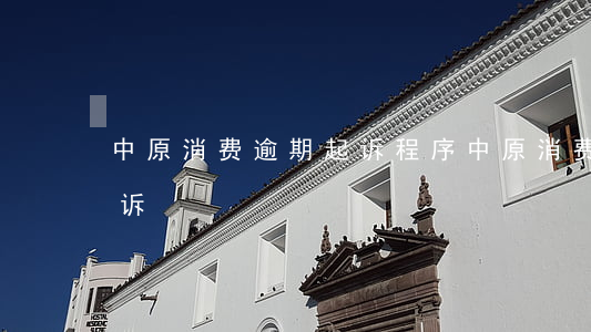 中原消费逾期起诉程序(中原消费逾期多久起诉)