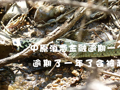中原消费金融逾期一个月起诉(中原消费金融逾期了一年了会被起诉吗)