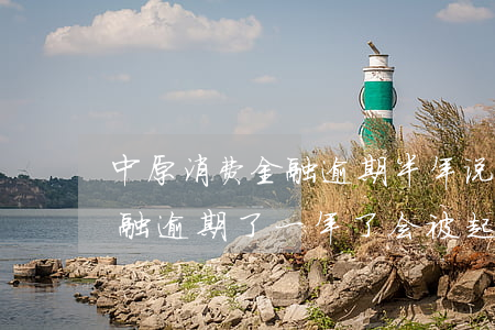 中原消费金融逾期半年说起诉-中原消费金融逾期了一年了会被起诉吗