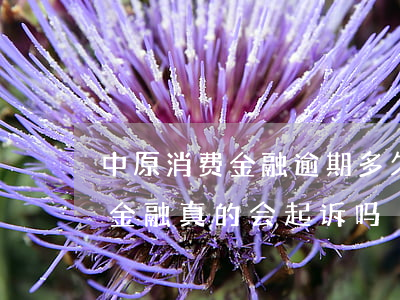 中原消费金融逾期多久会被起诉-中原消费金融真的会起诉吗?