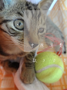 中原消费金融逾期说起诉我(中原消费金融欠款3000被起诉)