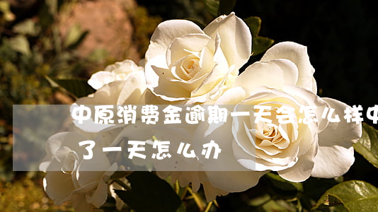 中原消费金逾期一天会怎么样(中原消金逾期了一天怎么办)