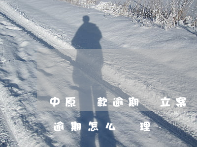 中原貸款逾期會立案嗎(中原消費(fèi)逾期怎么處理)