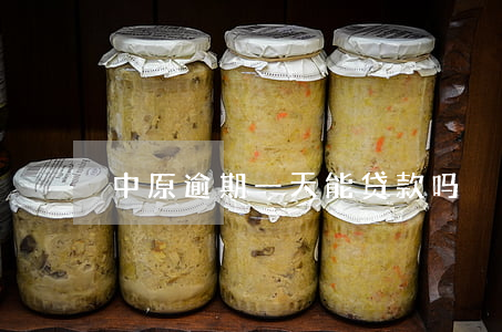 中原逾期一天能贷款吗