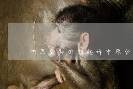 中原金融逾期起诉(中原金融投诉)