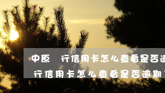 中原銀行信用卡怎么查看是否逾期-中原銀行信用卡怎么查看是否逾期了