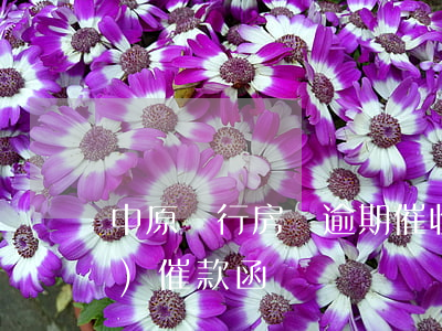 中原銀行房貸逾期催收函(房地產(chǎn)催款函)