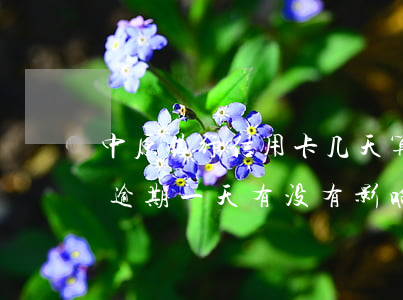 中原银行信用卡几天算逾期(中原银行信用卡 逾期一天有没有影响?)