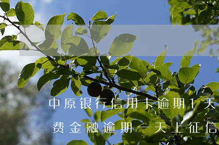 中原银行信用卡逾期1天上征信吗-中原消费金融逾期一天上征信吗?别这么干就没事