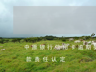 中原银行信用卡逾期委托方(中原银行逾期贷款责任认定)