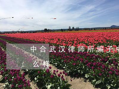 中合武汉律师所骗子(中合武汉律师事务所怎么样)