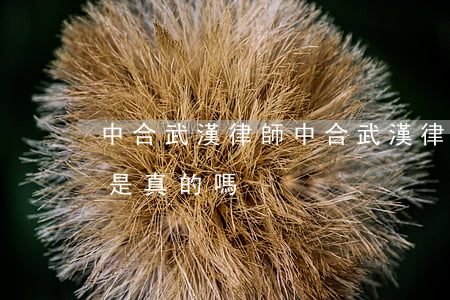 中合武漢律師(中合武漢律師事務(wù)所是真的嗎)