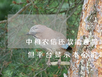 中和农信还款能逾期吗(农信逾期现在已还款,但平台显示本金逾期)