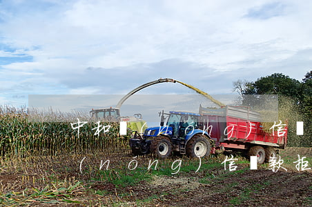 中和農(nóng)信貸款利息逾期(中和農(nóng)信貸款拒絕了)