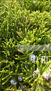 中和農(nóng)信逾期被執(zhí)行必須全款還嗎-中和農(nóng)信逾期被執(zhí)行必須全款還嗎知乎