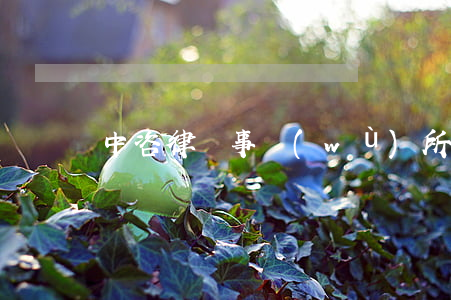 中咨律師事務(wù)所
