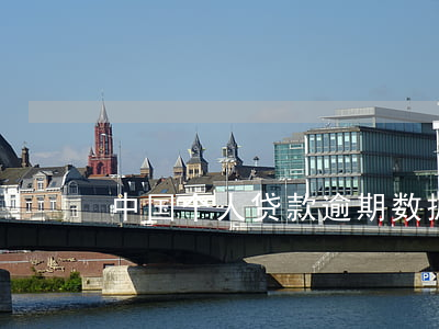 中国个人贷款逾期数据(个人贷款逾期计算器)