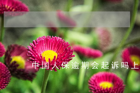 中国人保逾期会起诉吗上海