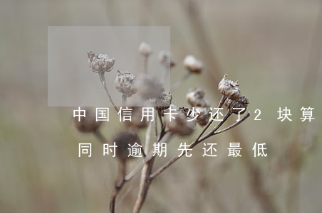 中国信用卡少还了2块算逾期吗(8张信用卡同时逾期先还最低)