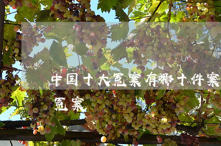 中国十大冤案有哪十件案子(中国历史10大冤案)