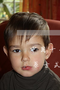 中国十大杰出民事律师(中国十大杰出律师联系方式)