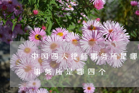 中国四大律师事务所是哪四个(中国四大律师事务所是哪四个)