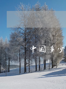 中国多少犯人(中国枪毙了多少犯人)