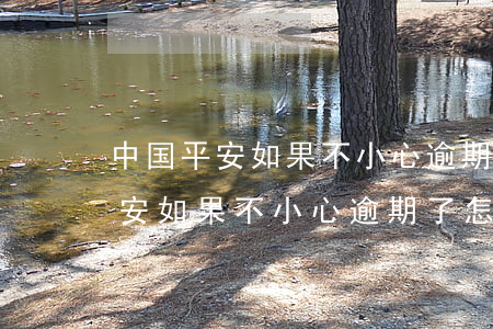 中国平安如果不小心逾期了怎么办-中国平安如果不小心逾期了怎么办呢