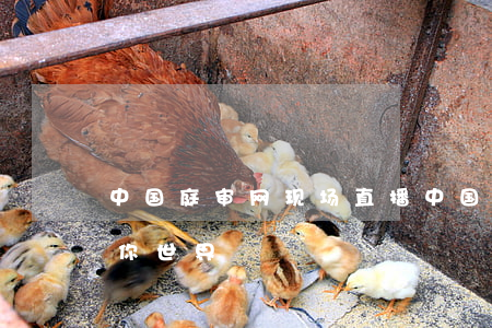 中国庭审网现场直播(中国庭审网现场直播迷你世界)
