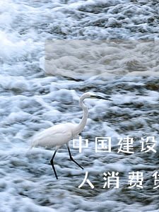 中国建设银行个人消费贷款(中国建设银行个人消费贷款电话)