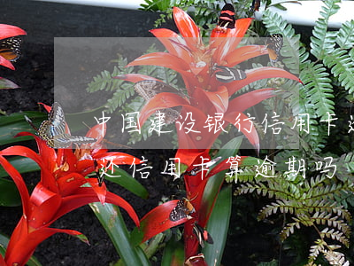 中国建设银行信用卡逾期1天(建行推迟一天还信用卡算逾期吗?)