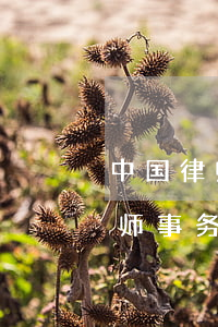 中国律师事务所排行榜100强(中国十佳律师事务所排行)