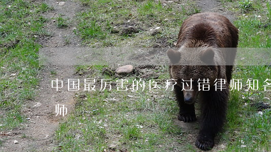 中国最厉害的医疗过错律师(知名医疗纠纷律师)