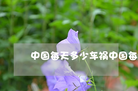 中国每天多少车祸(中国每分钟发生多少车祸)