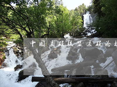 中国法硕联盟(法硕论坛联盟)