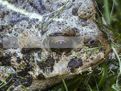 中国现在多少人负债多少人逾期-2021中国到底有多少人负债逾期