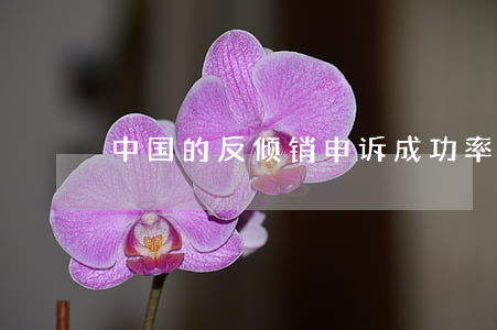 中国的反倾销申诉成功率低的原因看法