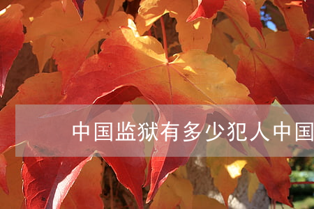 中国监狱有多少犯人(中国监狱有多少个犯人)