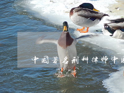 中国著名刑辩律师(中国十大刑辩律师)