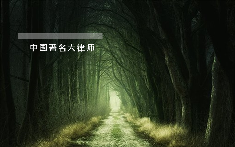中国著名大律师