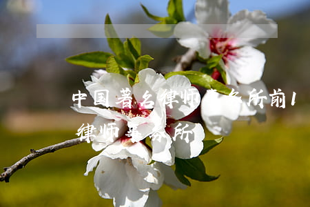 中国著名律师事务所前10名(中国最著名的律师事务所)