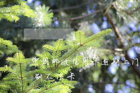 中国邮政信用卡逾期上门(邮政信用卡逾期后刷不了卡)