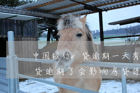 中国银行e贷逾期一天有影响吗 中国银行e贷逾期了会影响房贷还款吗