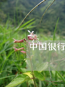 中国银行信用卡协商减免(中行协商减免成功)