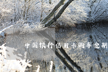 中国银行信用卡购车逾期拖车