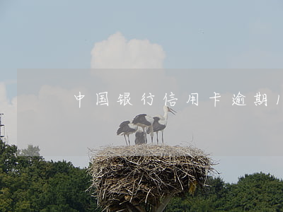 中国银行信用卡逾期18天