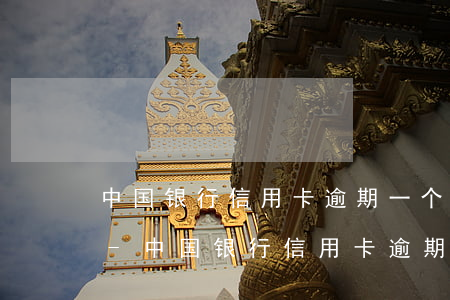 中国银行信用卡逾期一个月后还款还能用吗-中国银行信用卡逾期一个月后还款还能用吗