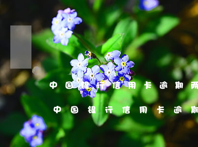 中国银行信用卡逾期两个月不给解冻让销户(中国银行信用卡逾期两个月不给解冻让销户)